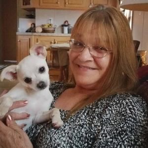 Meet your Posher, Debbie